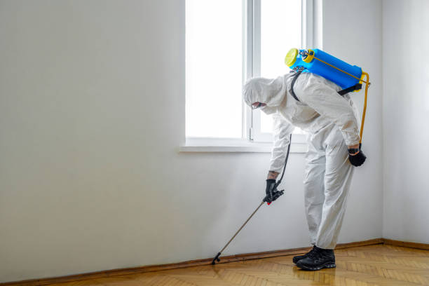 Best Mosquito Control Services  in Rock Island, WA